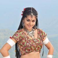 Tapsee Hot Stills | Picture 116224